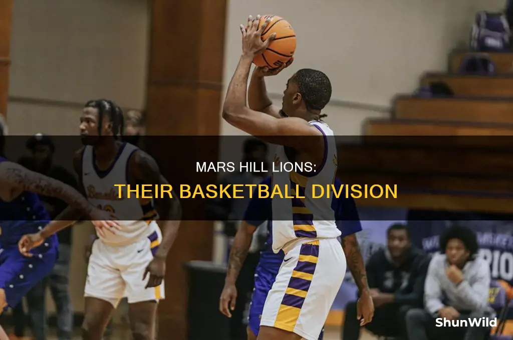 what division is mars hill basketball