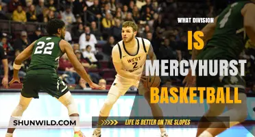 Mercyhurst Basketball: A Division II Powerhouse