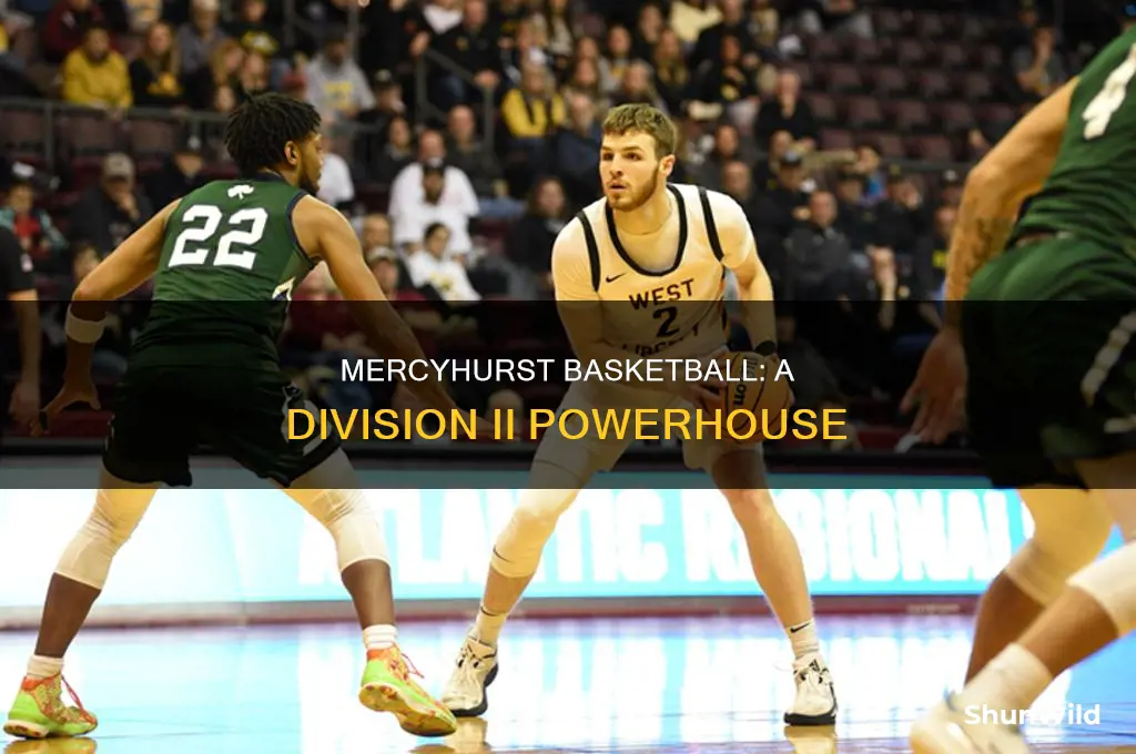 what division is mercyhurst basketball