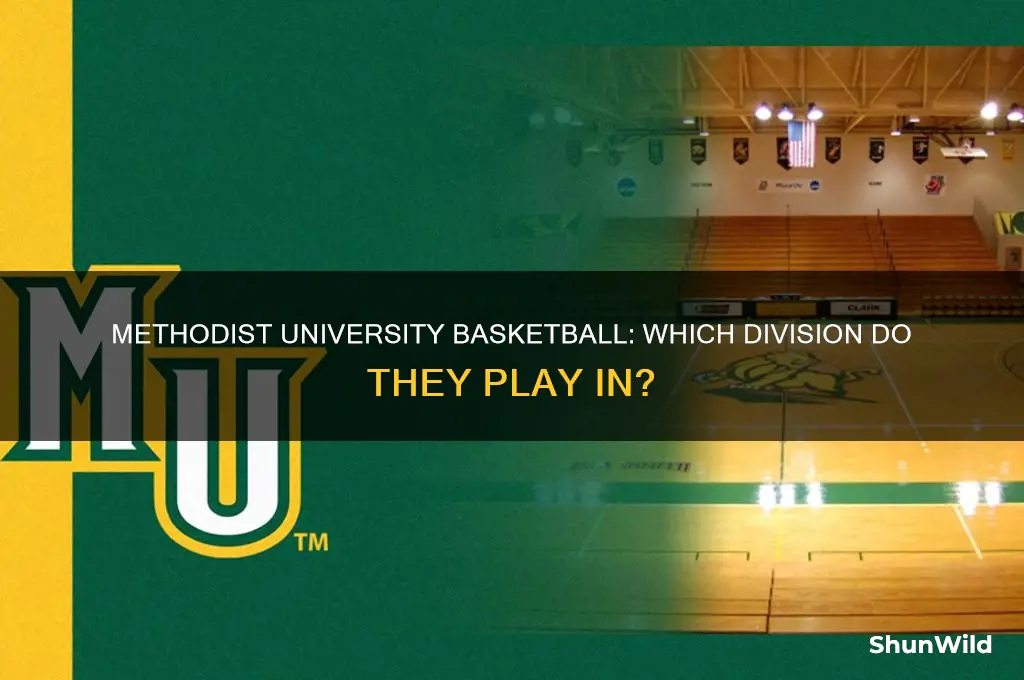 what division is methodist university basketball