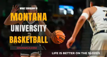 Montana University Basketball: Division I Status and Beyond