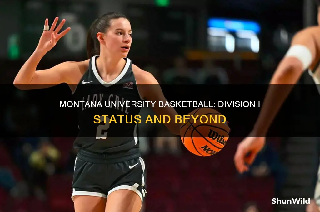 what division is montana university basketball