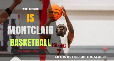 Montclair Basketball: A Division III Powerhouse