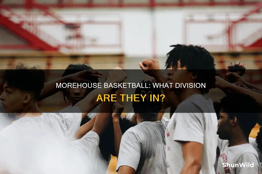 what division is morehouse basketball