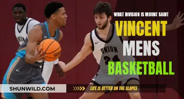 Mount Saint Vincent Men's Basketball: Which Division Do They Play?