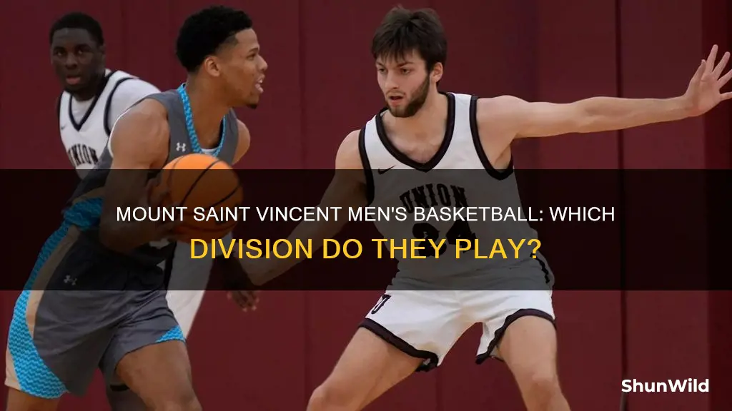 what division is mount saint vincent mens basketball