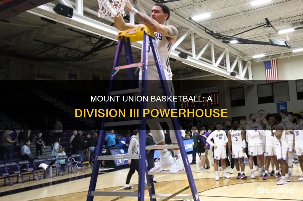what division is mount union basketball