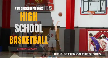 Mt. Horeb High School Basketball: A Division of Champions