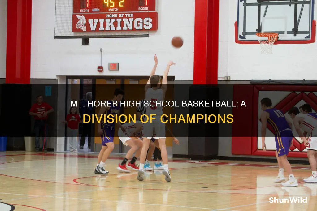 what division is mt horeb high school basketball