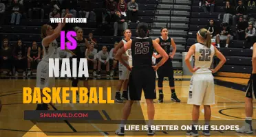NAIA Basketball: Understanding Its Division Status