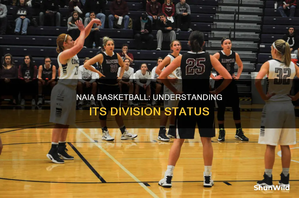 what division is naia basketball