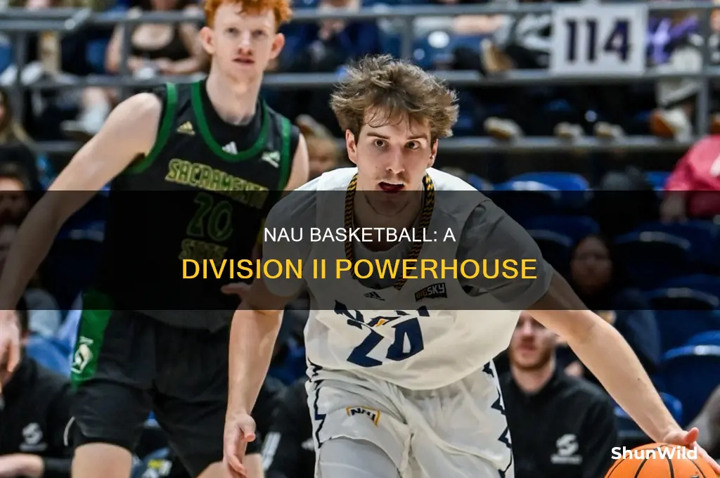 what division is nau basketball