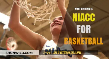 Niacc Basketball: What Division Do They Play In?