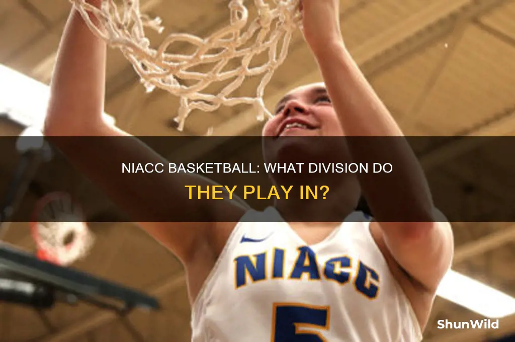 what division is niacc for basketball