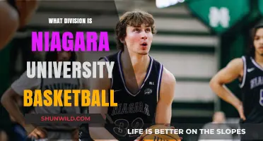Niagara University Basketball: Division I Athletics