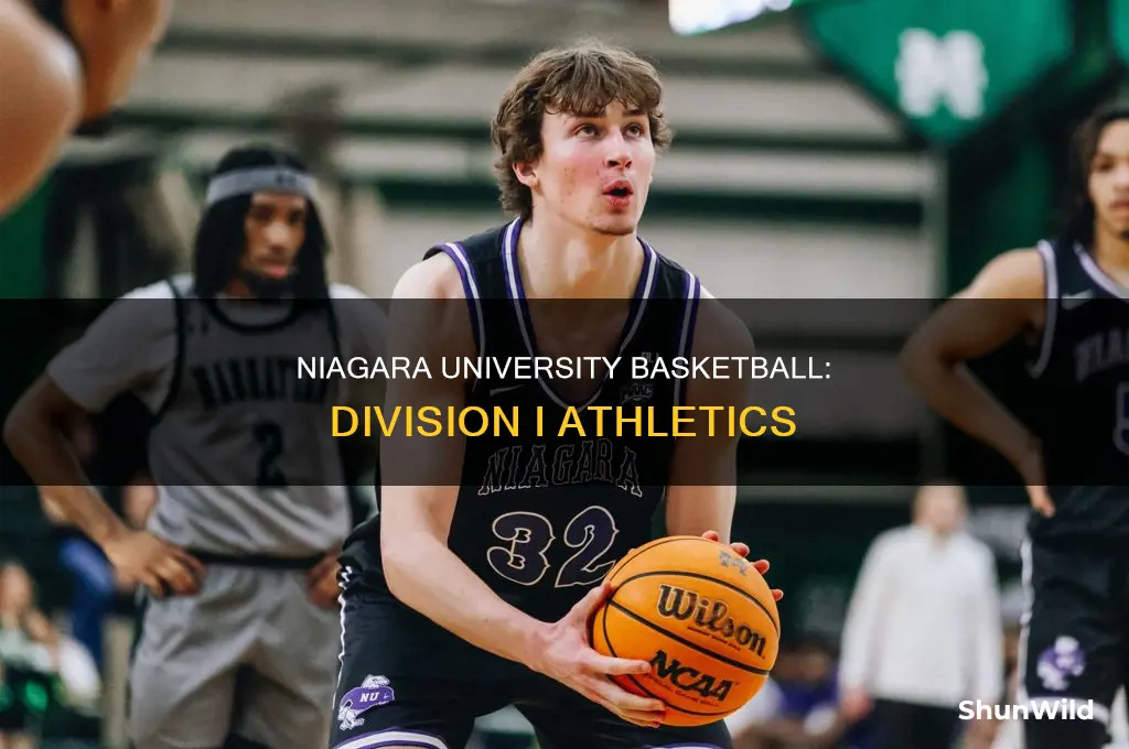 what division is niagara university basketball