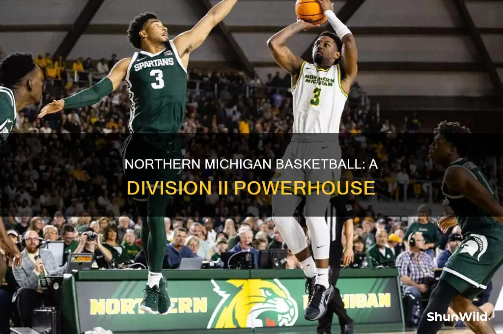 what division is northern michigan basketball