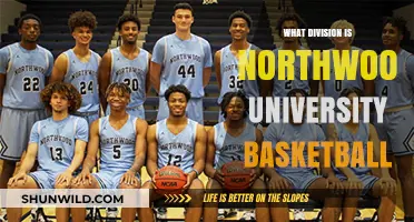 Northwood University Basketball: A Division II Legacy