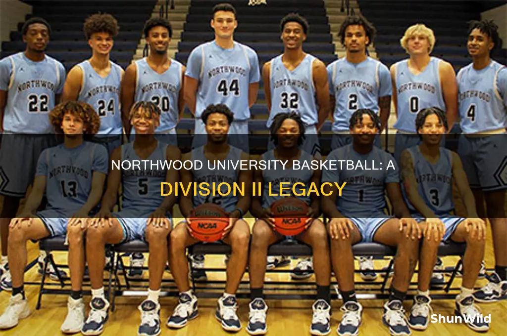 what division is northwood university basketball