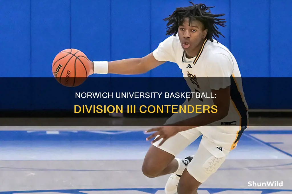 what division is norwich university basketball