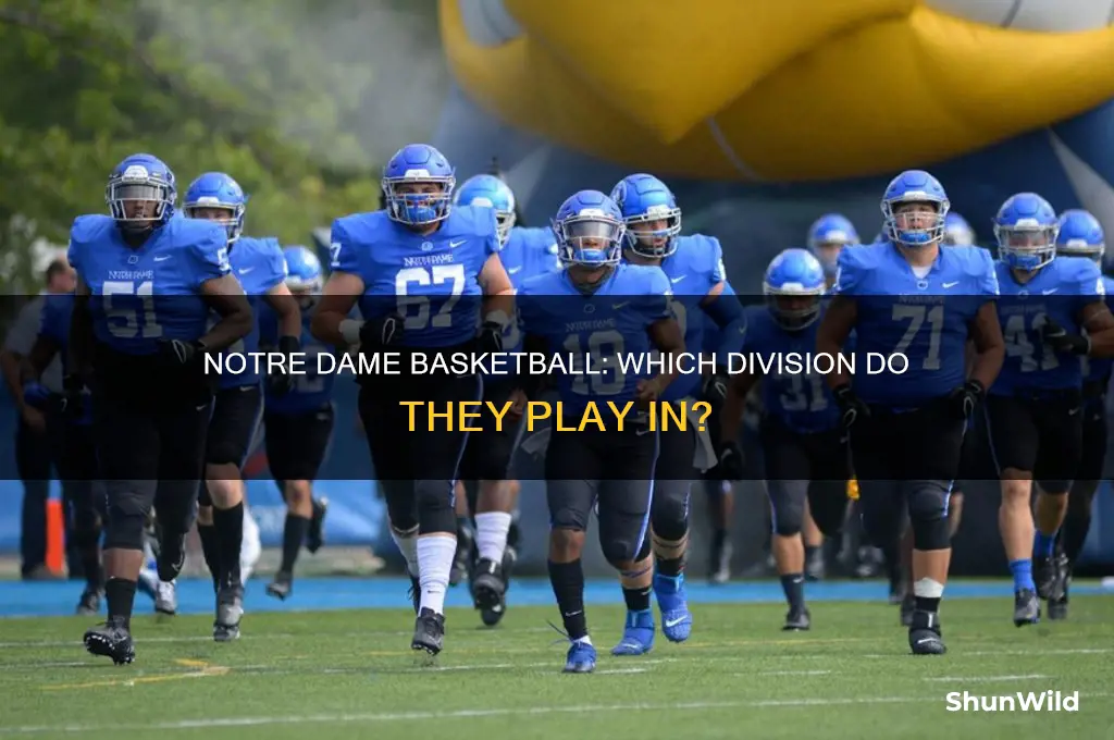 what division is notre dame basketball