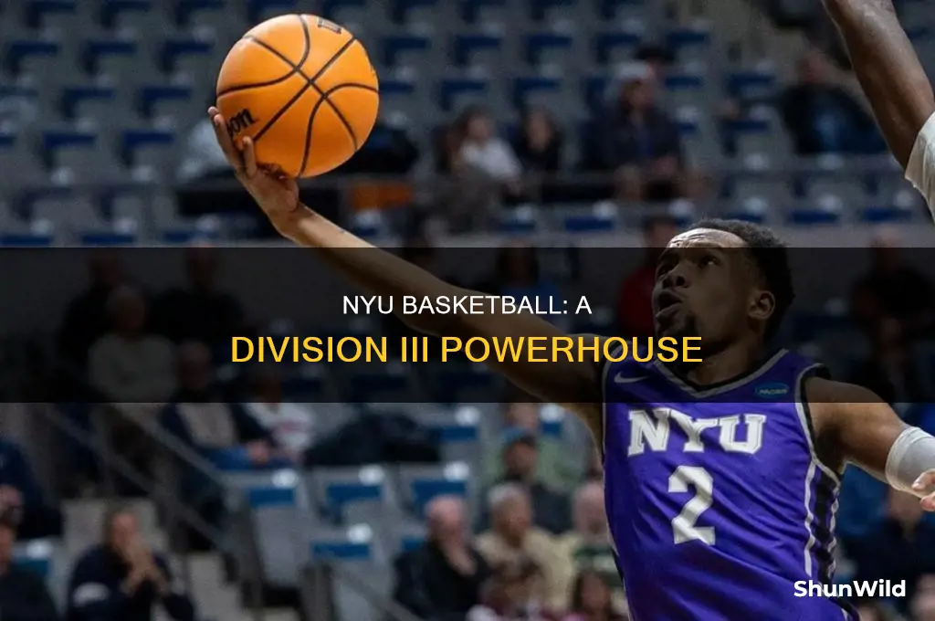 what division is nyu basketball