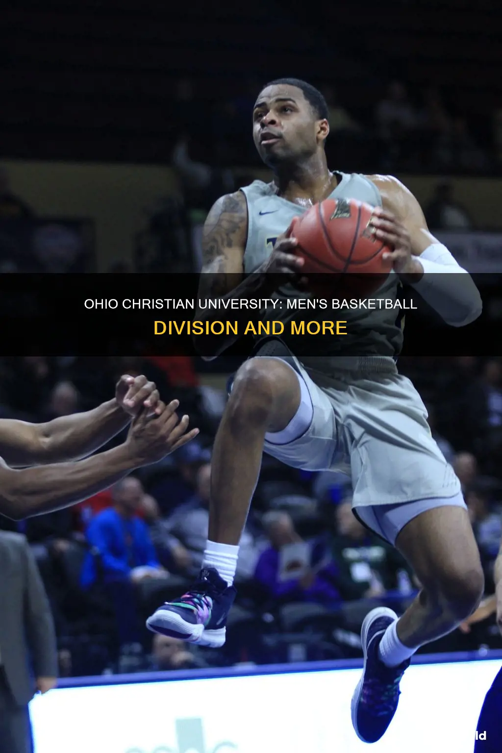 what division is ohio christian university men