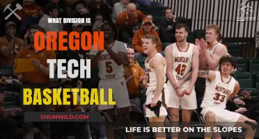 Oregon Tech Basketball: Which Division Do They Play In?