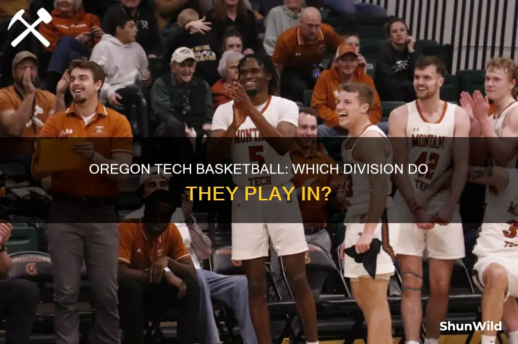 what division is oregon tech basketball