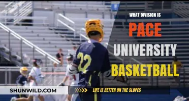 Pace University Basketball: Which Division?