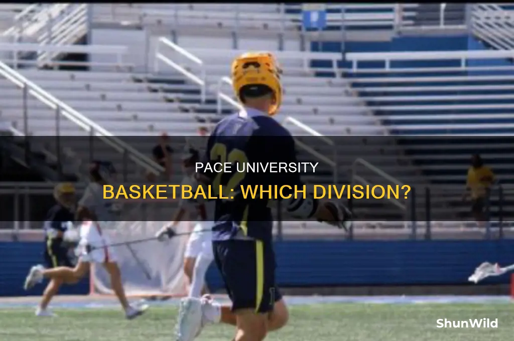 what division is pace university basketball