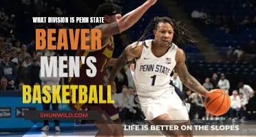 Penn State Beaver Men's Basketball: A Division III Team