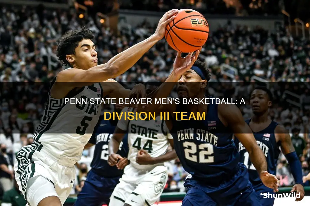 what division is penn state beaver men