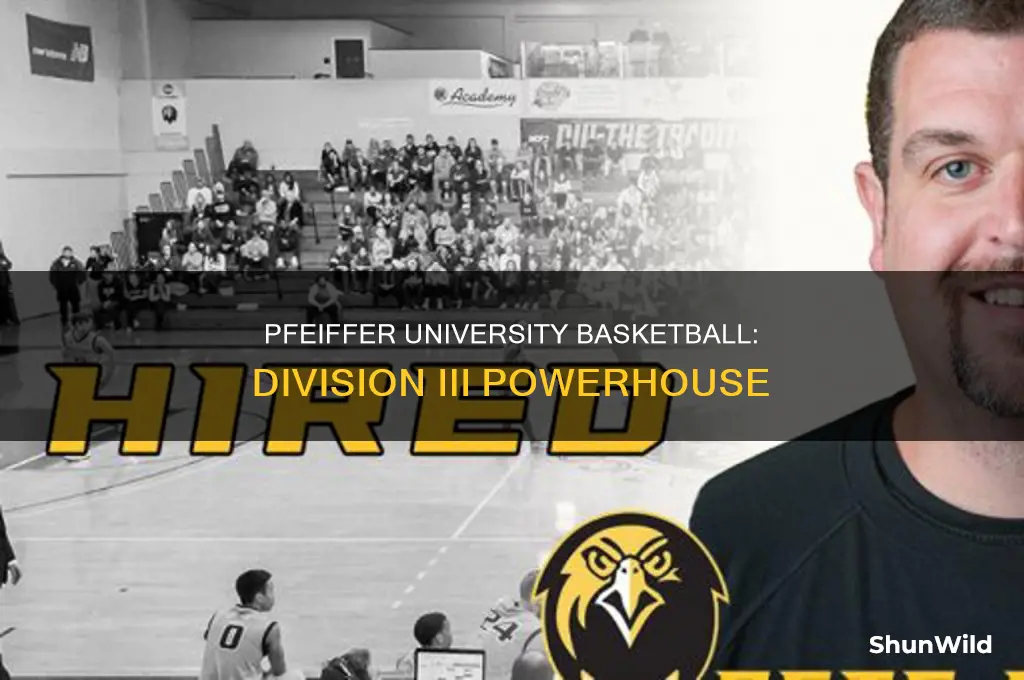 what division is pfeiffer university basketball