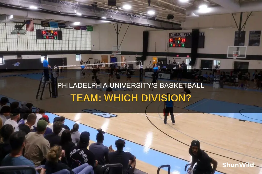 what division is philadelphia university basketball