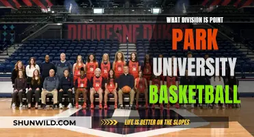 Point Park University Basketball: A Journey Through the Division