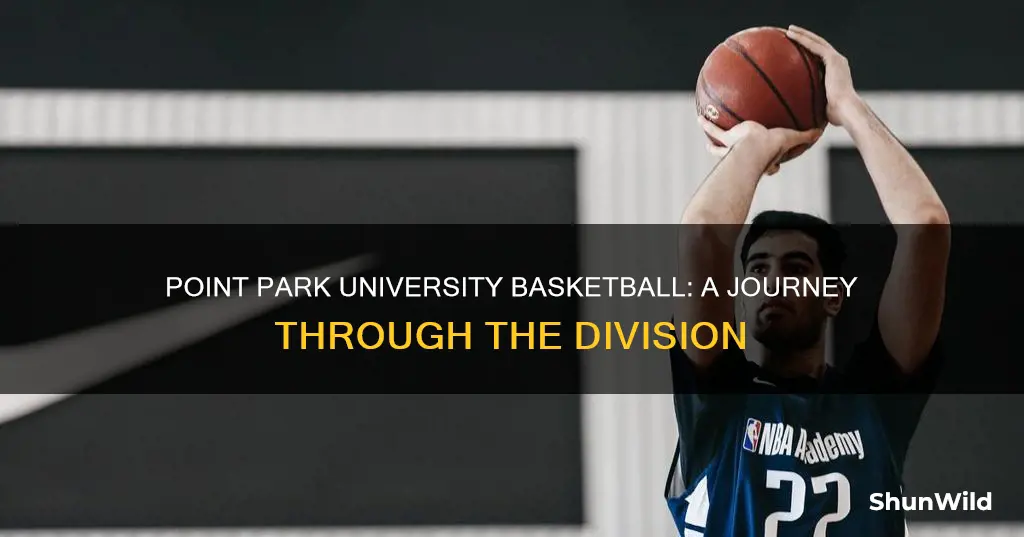 what division is point park university basketball