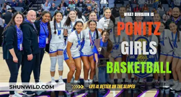 Girls Basketball at Ponitz: What Division?