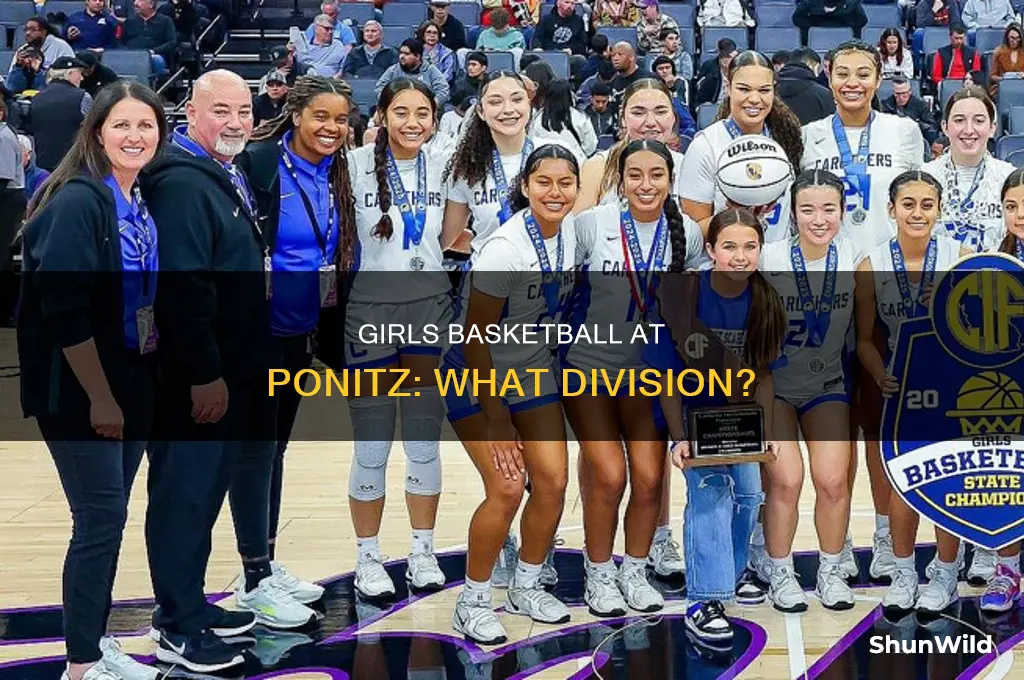 what division is ponitz girls basketball