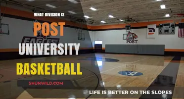 Post University Basketball: A Division III Powerhouse