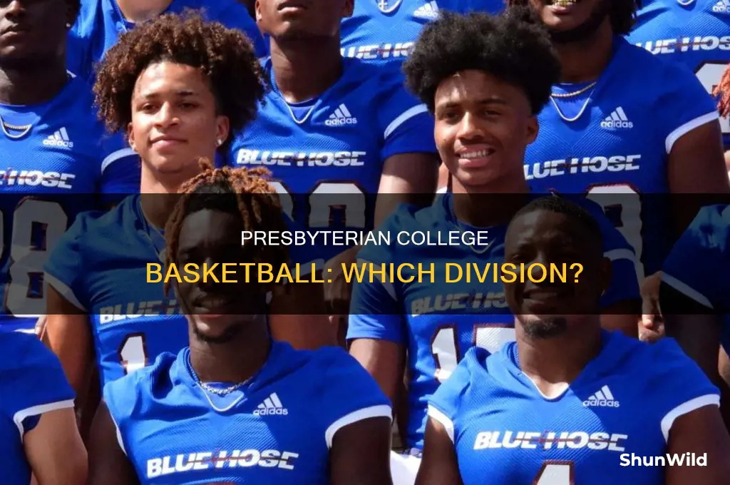 what division is presbyterian collwge basketball