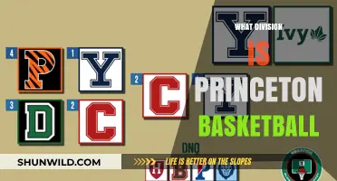 Princeton Basketball: What Division Do They Play In?