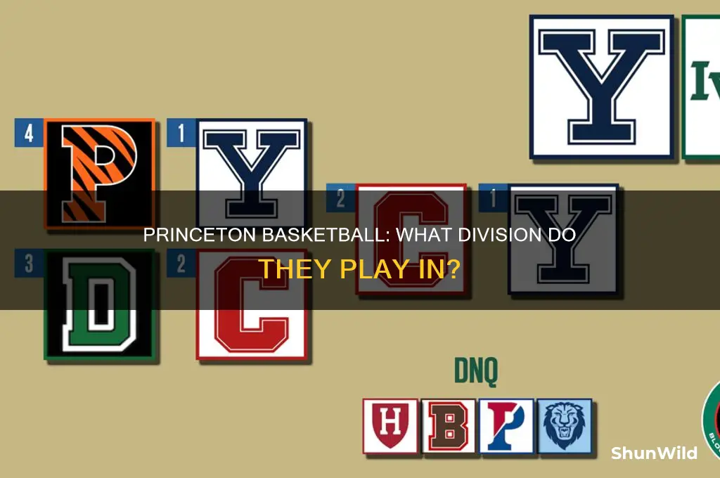 what division is princeton basketball