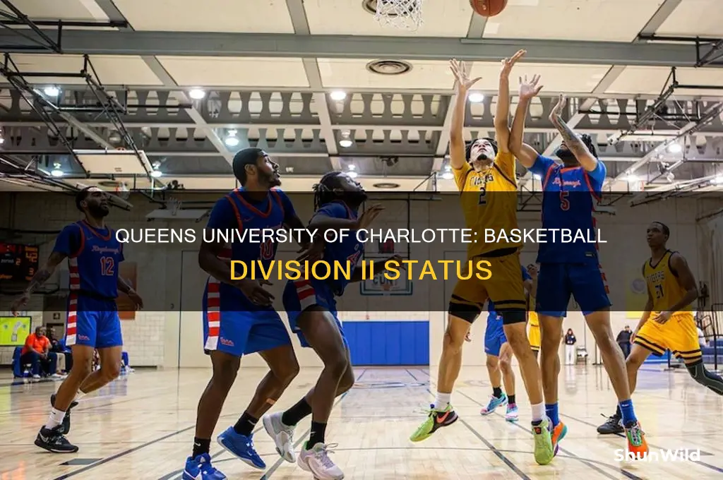 what division is queens university of charlotte basketball