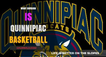 Quinnipiac Basketball: Which Division Do They Play In?