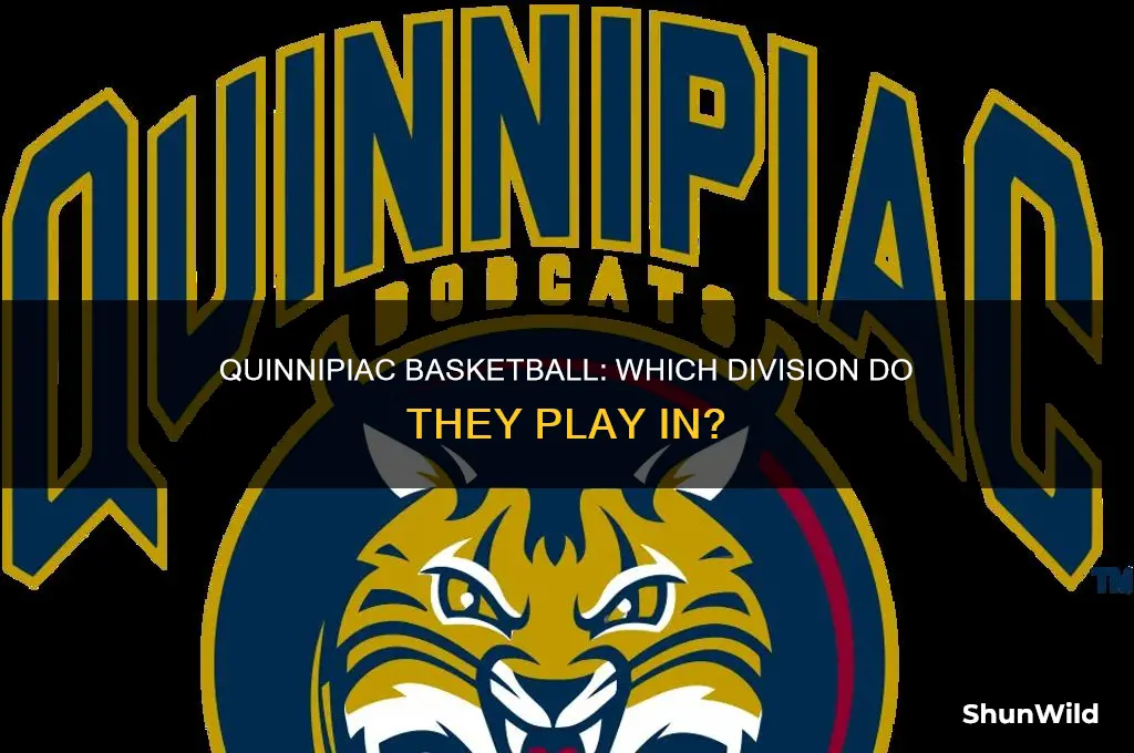 what division is quinnipiac basketball