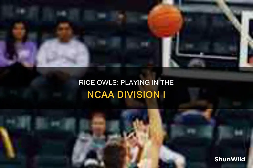 what division is rice university basketball