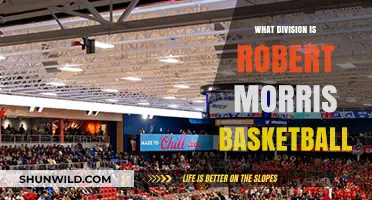 Robert Morris Basketball: A Division I Legacy
