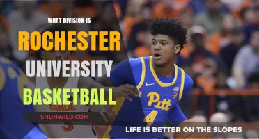 Rochester University Basketball: What Division?