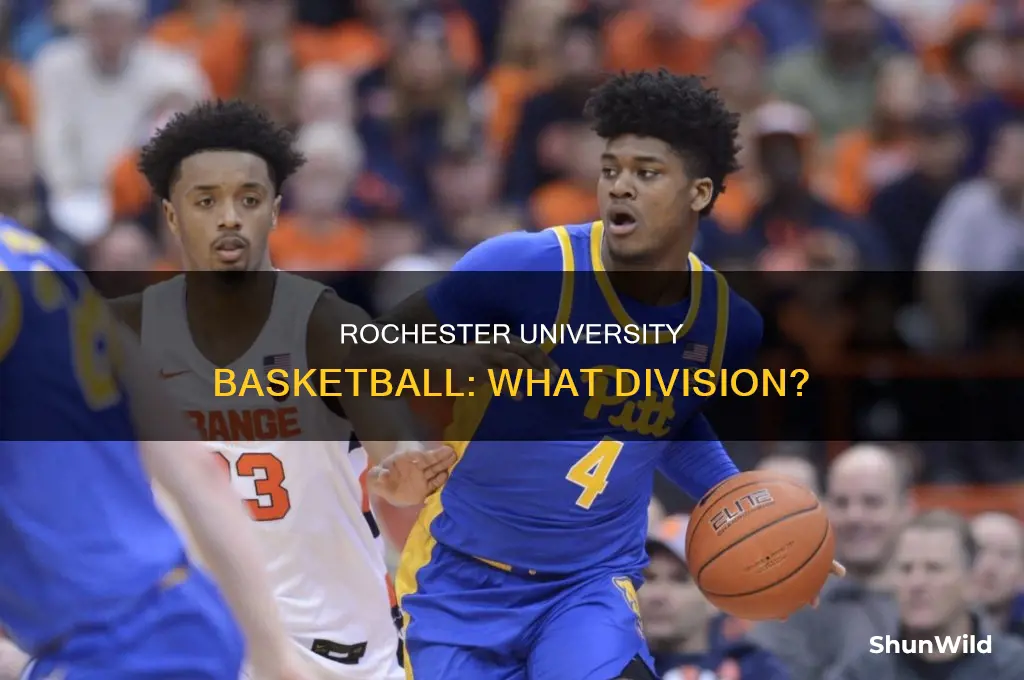 what division is rochester university basketball